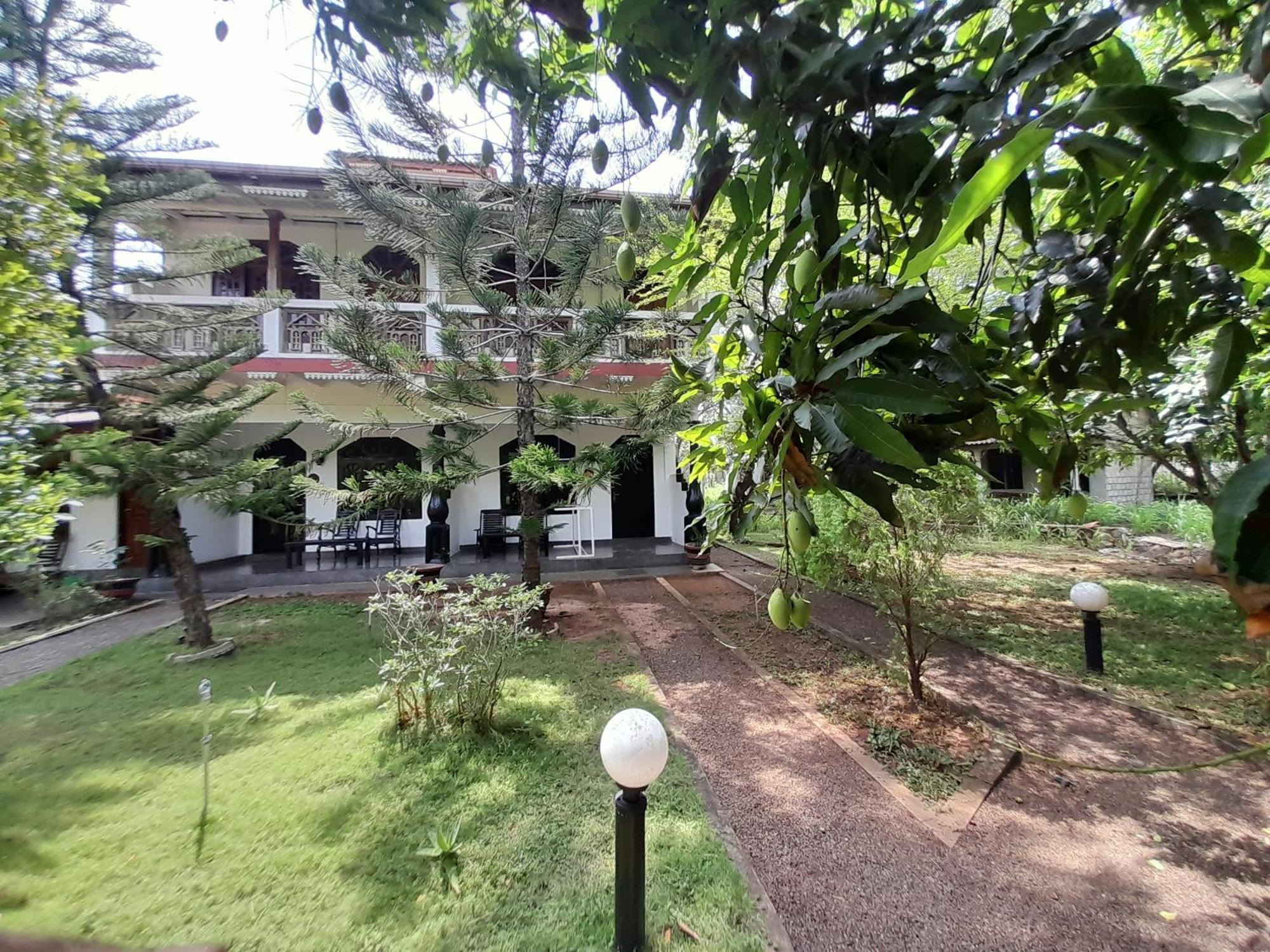 The Monkey Garden Hostel Sigiriya Ngoại thất bức ảnh